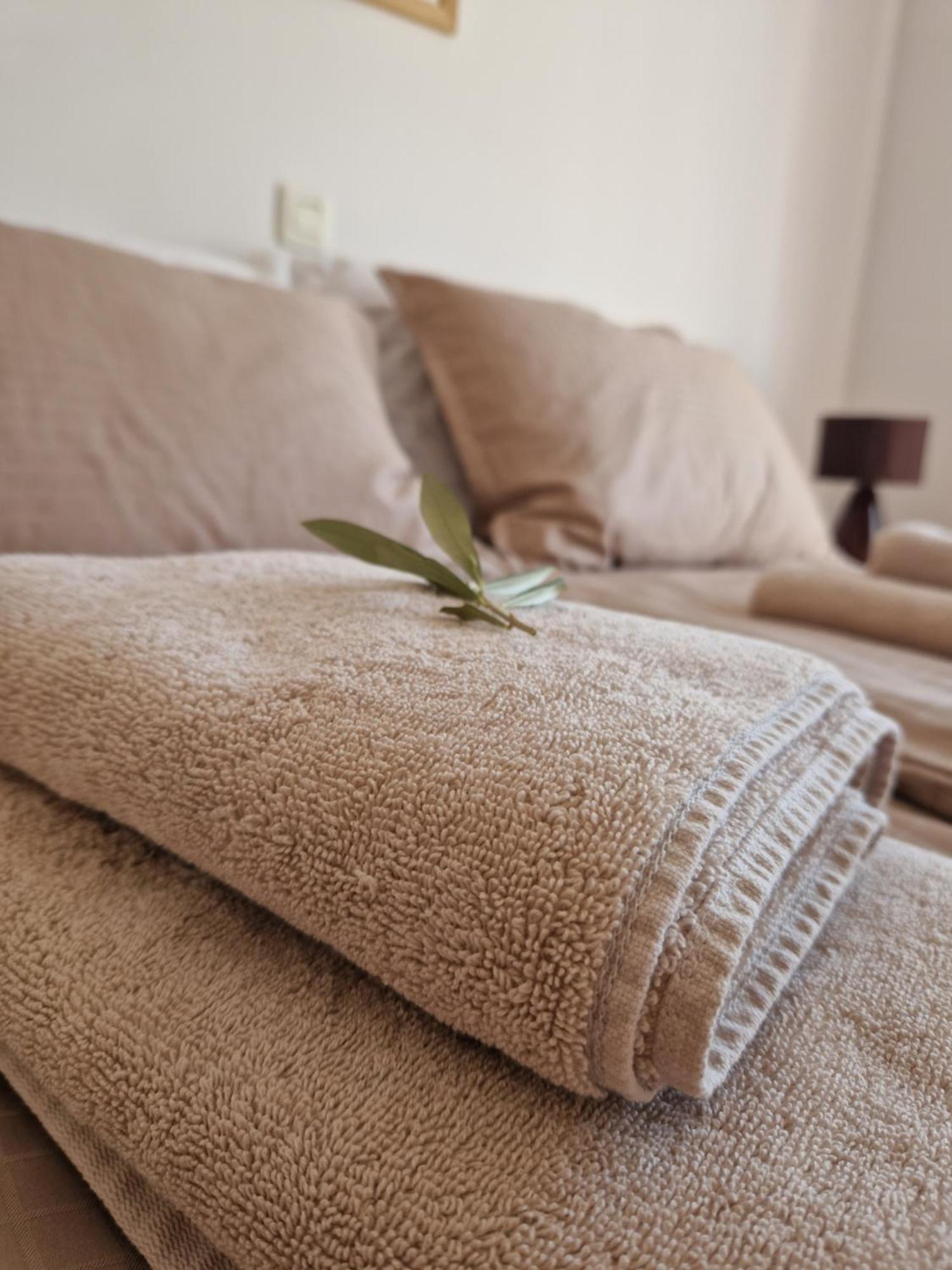 House Olive Garden Strunjan Apartment Ngoại thất bức ảnh
