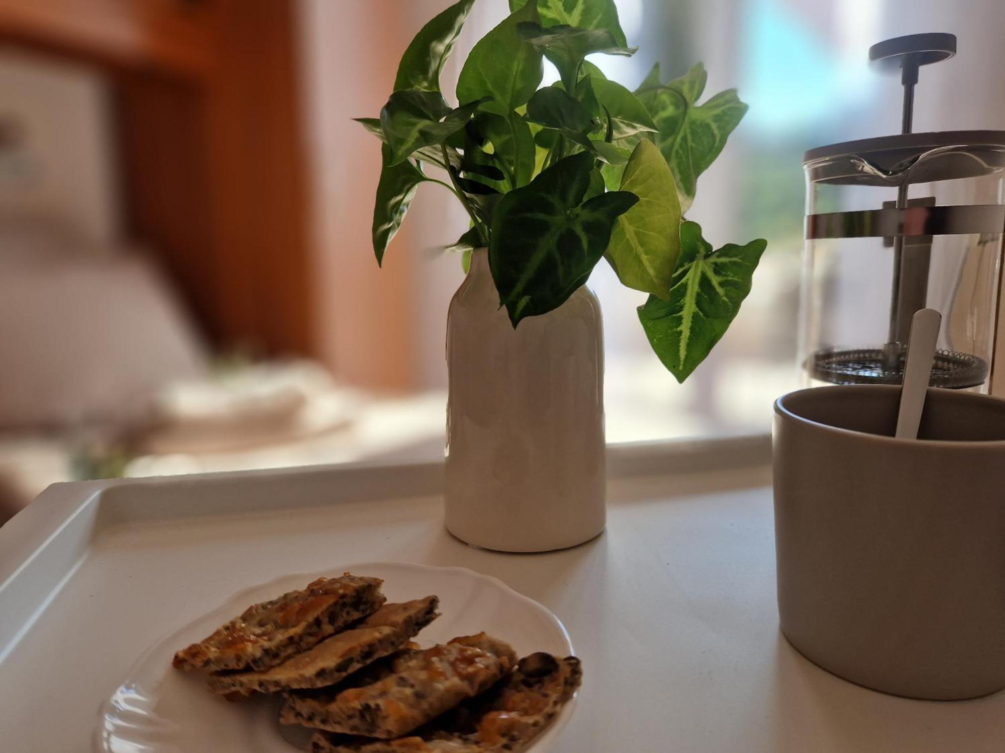 House Olive Garden Strunjan Apartment Ngoại thất bức ảnh