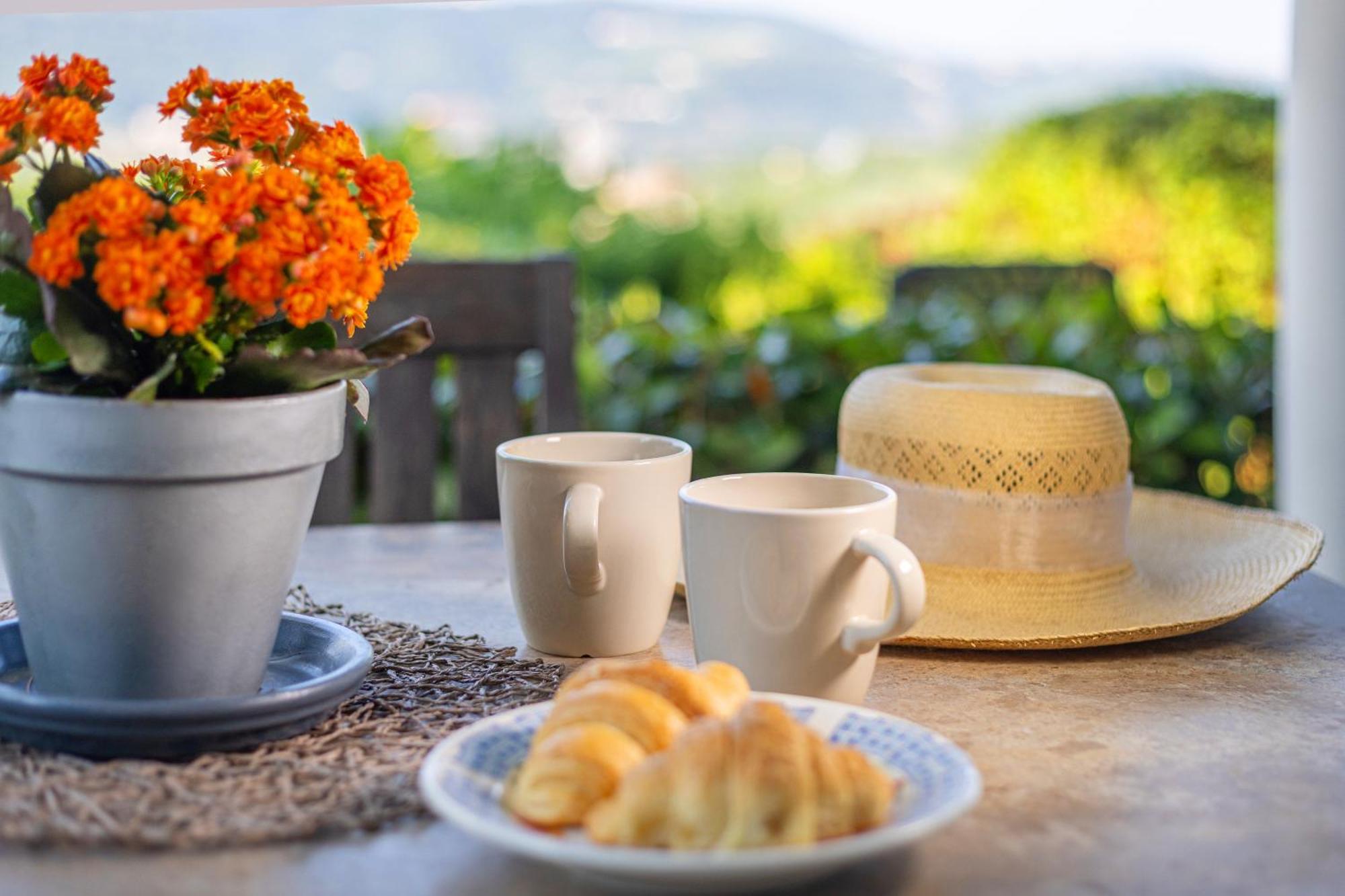 House Olive Garden Strunjan Apartment Ngoại thất bức ảnh